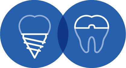 VitalEurope dental implants and crowns quantity